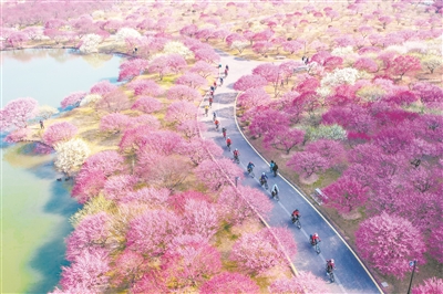 春暖花开